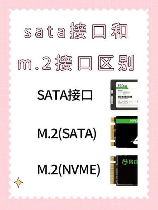 SATA接口：高速传输与数据安全联合