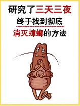 灭蟑螂的方法，灭蟑螂的有效方法