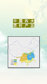 茶叶产地，探寻中国茶叶产区, 茶叶爱好者必看