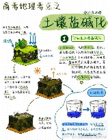 酸性土壤怎么弄，酸性土壤处理方法