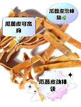 瓜蒌壳：聚焦健康新宠