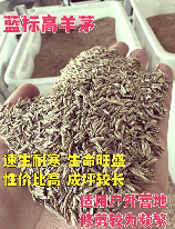 草籽多少钱一斤，草籽价格解析