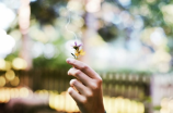 如何种植宿根花卉，打造极致花园