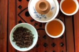 醉美如梦，装修家中的发财树