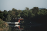杭州传媒大学：一所“媒”不“善”传的高校