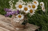教师节送老师鲜花应该送什么花