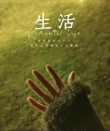 美颂雅庭：高品质安逸生活的首选