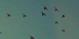 北方滤器：中国空气污染治理的重要力量
