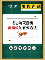 厨房蚂蚁消灭方法