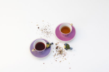 探秘油茶树图片：揭秘油茶树的种植和生长过程！
